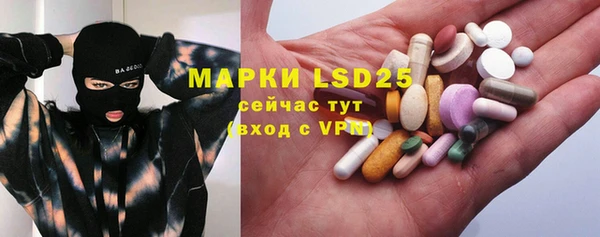 ГАЛЛЮЦИНОГЕННЫЕ ГРИБЫ Балахна
